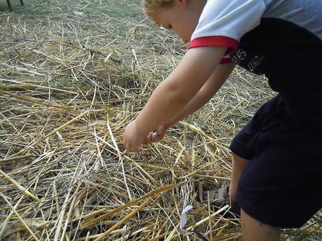 Spaventapasseri con paglia di segale
Festa della segale a...