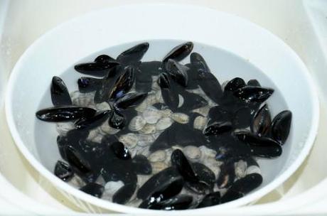 Spurgo di cozze e vongole