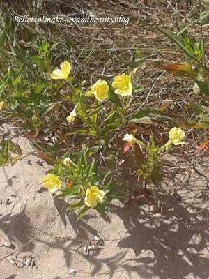 Quattro chiacchiere tra amiche: mare, estate e solari utilizzati :)