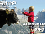 #albeinmalga ecco cosa faremo Trentino