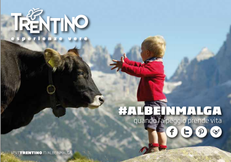 #albeinmalga ecco cosa faremo in Trentino
