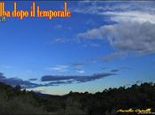 quella cosa chiamata calma dopo tempesta