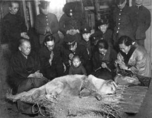 “Hachiko”: tra storia vera e film, spiegate le cause della morte