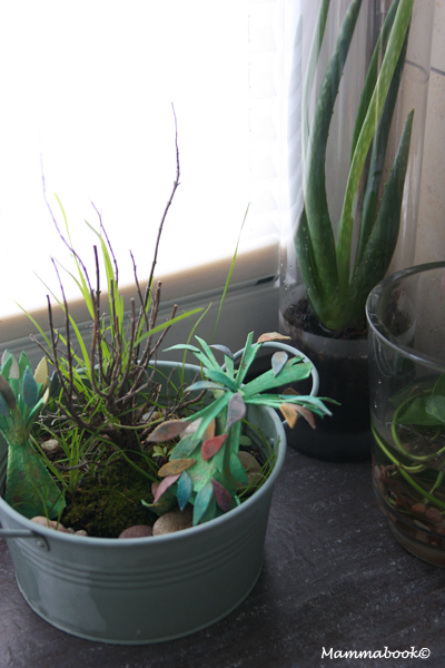 Fairy garden con il cartone delle uova – Fairy Garden with egg carton