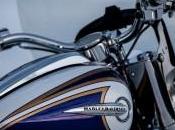 2014 Harley-Davidson trasforma gamma touring