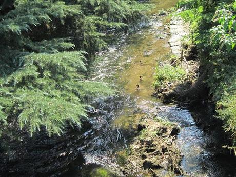 Fiume Olona: cambiare si può