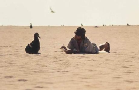 Man_on_beach_with_bird