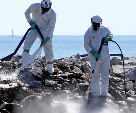 Ripulire mari e spiagge in modo naturale: può essere possibili