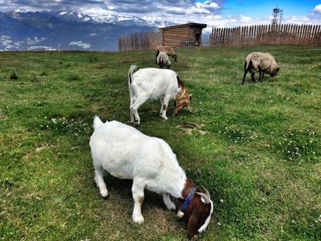 #thefashionfordonygoestoMOUNTAINS