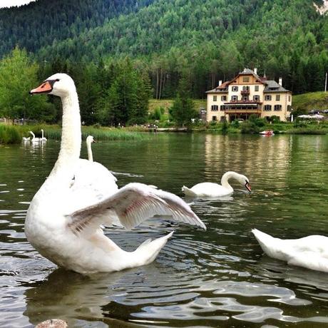 #thefashionfordonygoestoMOUNTAINS