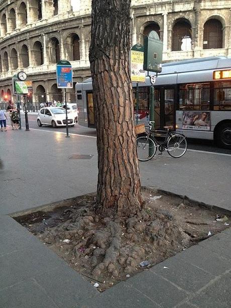 Qualcuno salvi il Colosseo da questo schifo incancrenito e connaturato dal tempo. Anche se a Roma lo pensano con vigore, questa non è la normalità. Non lo è