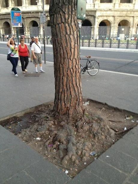 Qualcuno salvi il Colosseo da questo schifo incancrenito e connaturato dal tempo. Anche se a Roma lo pensano con vigore, questa non è la normalità. Non lo è