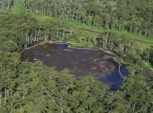 8 9sinkhole Evento choc in Louisiana, una specie di sisma sta inghiottendo la terra [Video]