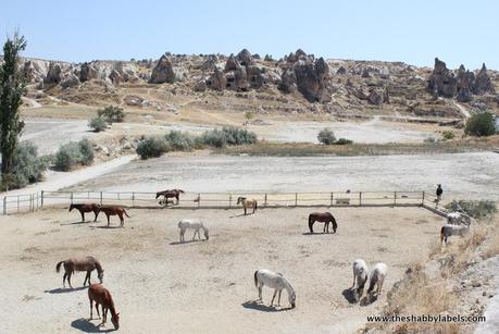 Turchia On The Road: Cappadocia