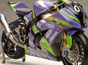 Kawasaki ZX-10R Racing Hours Suzuka 2012 Utage Factory House (Fujimi)