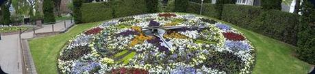 linneo flower clock1