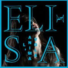 musica,video,testi,elisa,video elisa,testi elisa