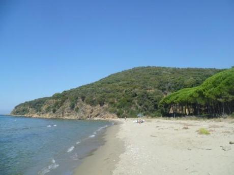 cala civette 533x400 LE SPIAGGE DELLA MAREMMA: DA CALA VIOLINA A MARINA DI ALBERESE