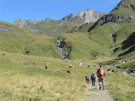 Se io fossi in montagna, sarei....