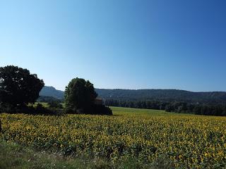 Caratteri di Provenza