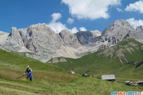 Fuciade, Passo San Pellegrino, Dolomiti