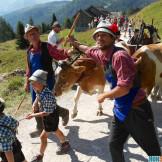 Musica e sapori sulle Dolomiti della Val di Fassa