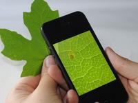 Trasformare lo smartphone in un microscopio con micro phone-lens video