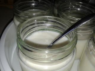 RISPARMIAMO CON... YOGURT FATTO IN CASA