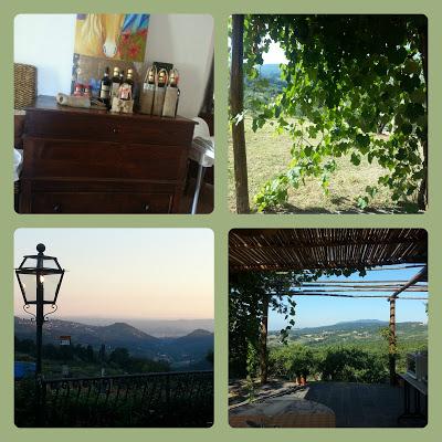 Camera con vista... Firenze! B&B; FarmHouse Olmo