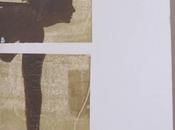 Recensione Lucertola Banana Yoshimoto