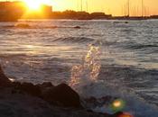 Diario dalla corsica /fine