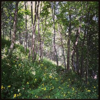 Hiking in French Alps from Les Deux Alpes to La Molière