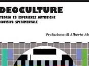“Videoculture” saggio Alfonso Mendola presentato Avellino