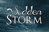 LIBROCOMMENTO # 6: SUDDEN STORM di Chiara Cilli + GIFTAWAY