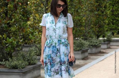 In the Street... Doina Ciobanu... Flowers in the garden, Paris