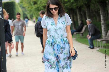 In the Street... Doina Ciobanu... Flowers in the garden, Paris