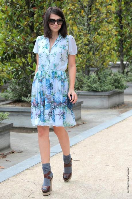 In the Street... Doina Ciobanu... Flowers in the garden, Paris