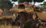 Zoo Tycoon