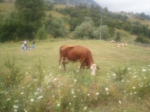 La montagna, un amore non corrisposto