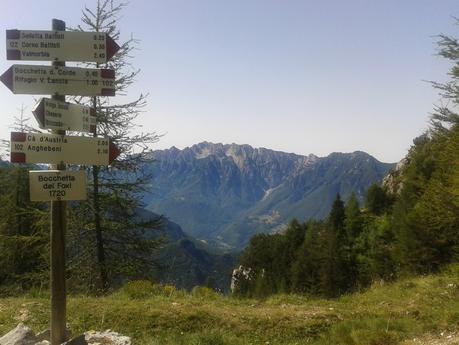 LA MIA ALBA a MALGA ZOCCHI #albeinmalga