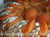 Ciambella morbida alle albicocche fresche zucchero integrale