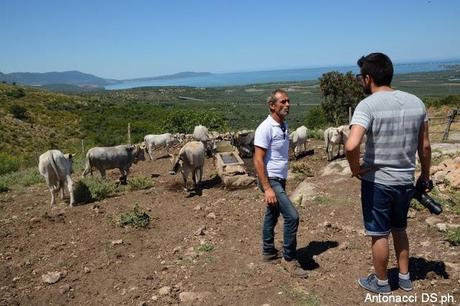 Fotogallery: Muzzarellë e rëcottë alla carpënesë..rrobba bbonë