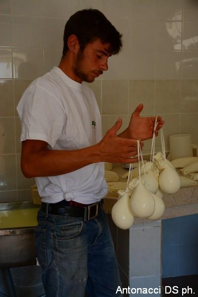 Fotogallery: Muzzarellë e rëcottë alla carpënesë..rrobba bbonë