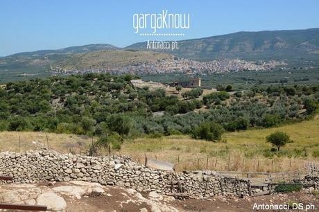 Fotogallery: Muzzarellë e rëcottë alla carpënesë..rrobba bbonë