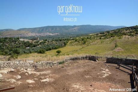 Fotogallery: Muzzarellë e rëcottë alla carpënesë..rrobba bbonë