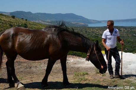 Fotogallery: Muzzarellë e rëcottë alla carpënesë..rrobba bbonë