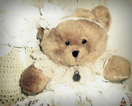 shabbychic, my Teddy is chic