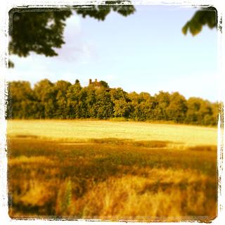 L'Abbazia di San Galgano e la Cappella di Montesiepi