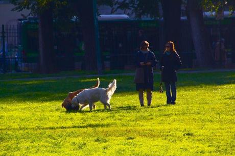 SECRET CITY LIFE | Milano. Romanticherie e “Hipsterismi” nel parco delle basiliche