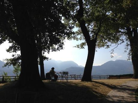 Sapori e luoghi del Trentino, Strade del Vino e dei Sapori